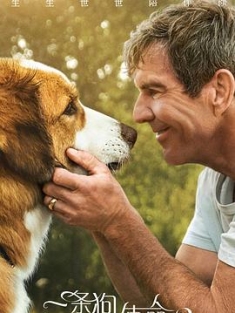 一条狗的使命2 A Dog's Journey (2019) / 再见亦是狗朋友2(港) / 狗狗的旅程(台) / 一条狗的旅程 / 为了与你相遇2 / A Dog's Purpose 2 / A.Dogs.Journey.2019.HDR.2160p.WEB.H265-FLAME