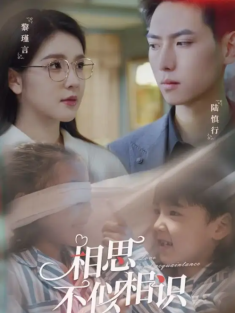 短剧《相思不似相识》(101集) 网盘在线观看