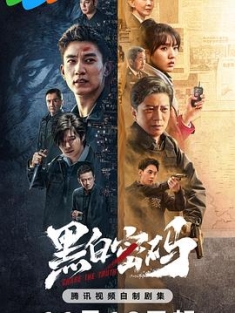 黑白密码 (2023) / Chase The Truth / 4K电视剧下载 / 阿里云盘分享