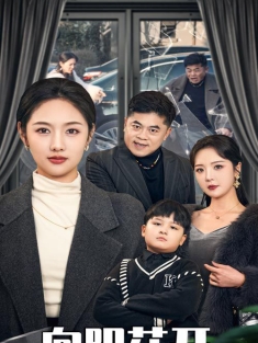 《向阳花开》短剧高清全集免费在线观看播放完整版