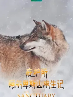 庇护所：阿尔卑斯山求生记 Le plus beau pays du monde 3 : Le sanctuaire 2019 The Sanctuary: Survival Stories of the Alps [法国] 豆瓣：9.3