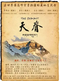 天脊 2010