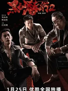 黑白潜行2 2025 The Grey Men Ⅱ [中国大陆] 豆瓣：