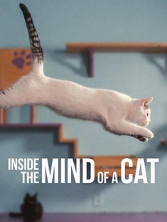喵星人的奇思妙想 / Inside.the.Mind.of.a.Cat.2022.2160p.NF.WEB-DL.x265.10bit.HDR.DDP5.1-KKKK