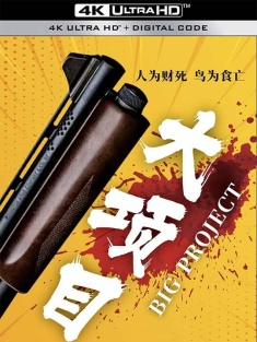 大项目 (2024) BIG PROJECT