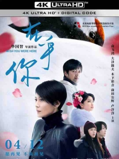 在乎你 (2019) / 我只在乎你 / Wish You Were Here / 4K电影下载 / Wish.You.Were.Here.2019.2160p.HQ.WEB-DL.H265.AAC
