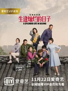 生逢灿烂的日子 2017 北京人在北京/A Splendid Life in Beijing [中国大陆] 豆瓣：6.0