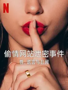 偷情网站泄密事件：性、谎言与丑闻 Ashley Madison: Sex, Lies & Scandal (2024)//纪录片