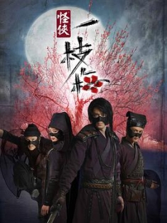 怪侠一枝梅 / The Vigilantes in Masks / 4k.uhd.2160p.2010（阿里云盘资源）