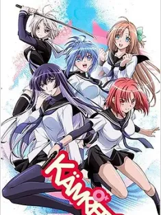 肯普法 けんぷファー 2009 Kempfer [日本] 豆瓣:6.2