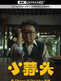 小蒜头 (2024) / 4K电影下载 / Xiao.Suan.Tou.2024.2160p.WEB-DL.H264.DDP2.0