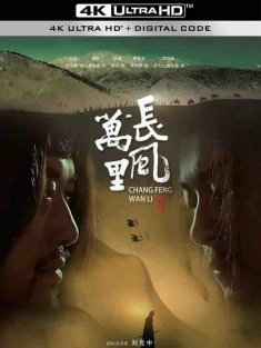 长风万里 (2024) / Ambassador from Han Empire / 4K电影下载 / Ambassador.from.Han.Empire.2024.2160p.HQ.WEB-DL.H265.60fps.DTS5.1