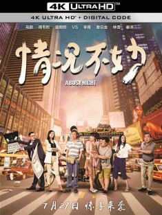 情况不妙 (2016) A Busy Night