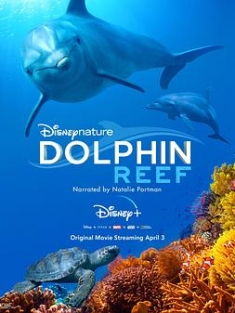 海豚礁 Dolphin Reef (2020) / Disneynature: Dolphin Reef / Dolphin.Reef.2020.HDR.2160p.WEB.H265-SECRECY
