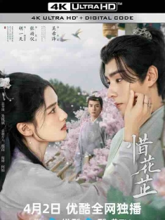 惜花芷 (2024) / 4K电视剧下载