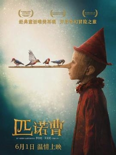 匹诺曹 Pinocchio.2019.ITALIAN.2160p.UHD.BluRay.x265.10bit.HDR.DTS-HD.MA.5....