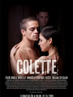 科莱特 Colette 2013
