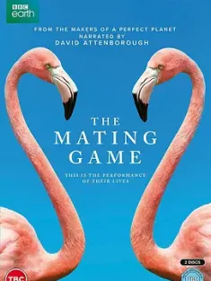 求偶游戏 The Mating Game (2021) 2160p.iP.WEB-DL.x265.10bit.HDR.HLG.AAC2.0...