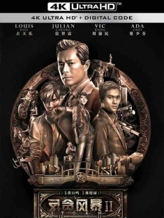 反贪风暴2 S風暴 (2016) Z风暴2/S Storm/中国大陆/中国香港/豆瓣: 6.0