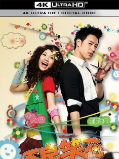 不良笑花 (2008)/Miss No Good