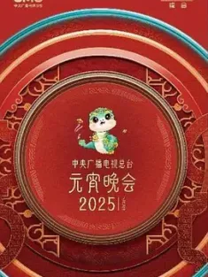 中央广播电视总台2025年元宵晚会 2025年中央广播电视总台元宵晚会 中国大陆