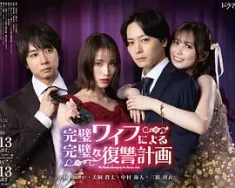 完美妻子的完美复仇计划 完璧ワイフによる完璧な復讐計画 (2024) /日本/豆瓣: