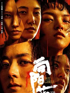 向阳·花 2025 出狱女子的故事/We Girls