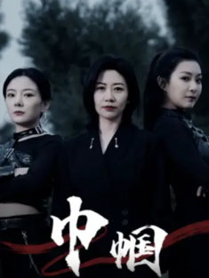 短剧《巾帼》(69集) 网盘在线观看