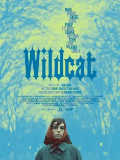 野猫 Wildcat 2023