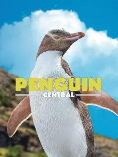 探秘企鹅王国 Penguin Central 2019 企鹅中心