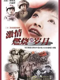 激情燃烧的岁月 (2001)
