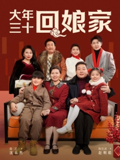 《大年三十回娘家》短剧高清全集免费在线观看播放完整版
