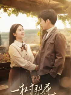 短剧《一树梨花压海棠》(82集) 网盘在线观看