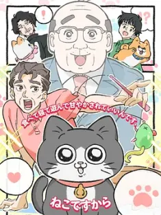 转生成猫的大叔 ねこに転生したおじさん 2024 发现自己转生成猫的大叔[日本]豆瓣: