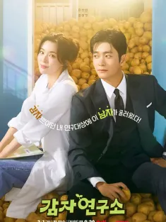 爱情发芽中 감자연구소 2025 土豆研究所/马铃薯研究所/The Potato Lab