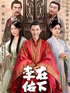 在下李佑 (2023) / 回到古代当赘婿 / 奋斗在新明朝 / 4K.UHD.2160P（阿里云盘资源）