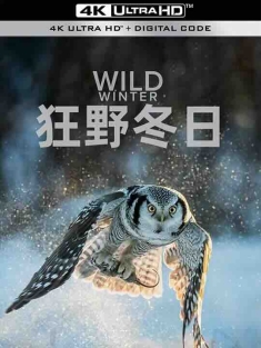 狂野冬日 第一季 Wild Winter Season 1 (2024) / 4K纪录片下载 / Wild.Winter.S01.2024.2160p.WEB-DL.H265.AAC.2Audio