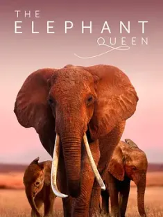 大象女王 The.Elephant.Queen.2019.HDR.2160p.WEB.h265-NiXON