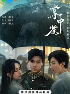《掌中雀 2025》