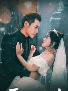 短剧《爱已无可救药》(83集) 网盘在线观看