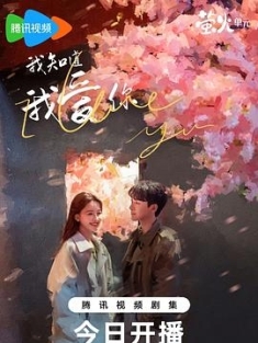 我知道我爱你 (2023) / 中国版春夜 / 4K电视剧下载