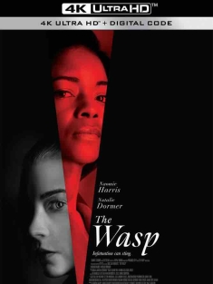 黄蜂蜇 The Wasp (2024) 黄蜂/美国/豆瓣: