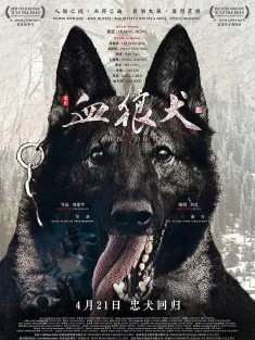 血狼犬 2017 朱狼狗/The Blood Hound