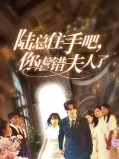 短剧《陆总住手吧你虐错夫人了》(80集) 网盘在线观看