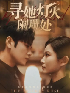 短剧《寻她灯火阑珊处》(61集) 网盘在线观看