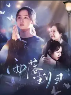 短剧《雨落尘归》(80集) 网盘在线观看