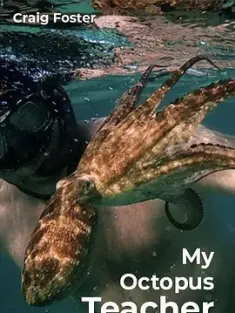 我的章鱼老师 My.Octopus.Teacher.2020.2160p.NF.WEB-DL.x265.10bit.SDR.DDP...