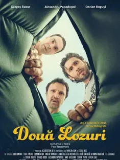 两张彩票 Două lozuri (2016) 玩死中奖三兄弟(港)/Two Lottery Tickets/罗马尼亚/豆瓣: 6.7