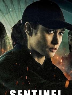 哨兵行动 Sentinelle.2021.FRENCH.2160p.NF.WEB-DL.x265.10bit.SDR.DDP5.1-COPiUM