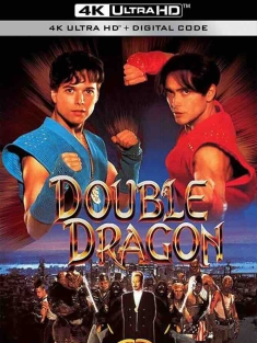双龙奇兵 Double Dragon (1994) 双截龙/豆瓣: 5.3